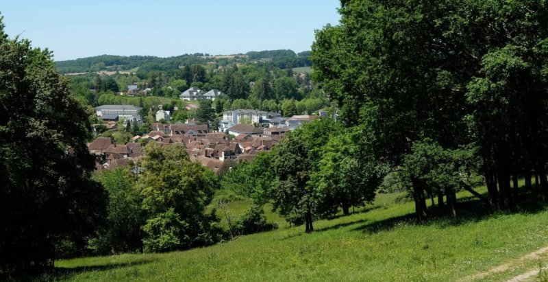 cerfrance Salies de Béarn
